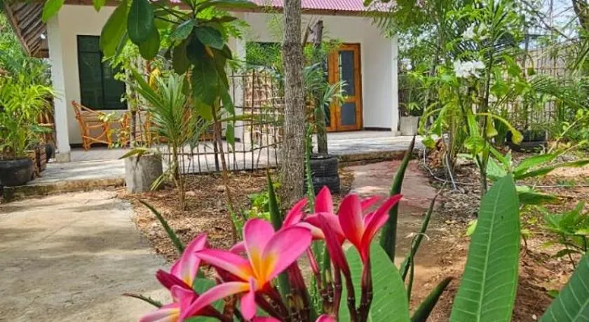 Z Village Lodge Paje - Image 1