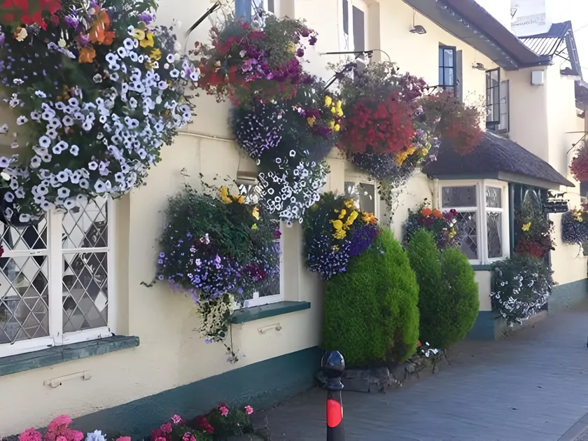 Kings Arms Inn - Image 1
