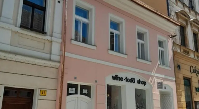 Apartmán Růženka Písek - Image 1