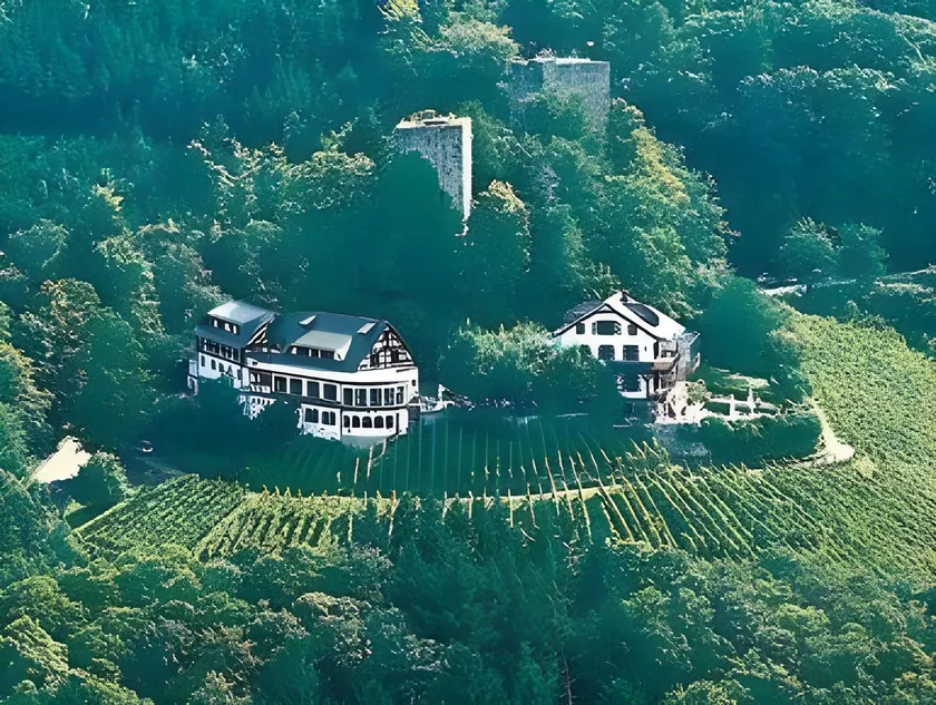 Burg Windeck ***S - Image 1