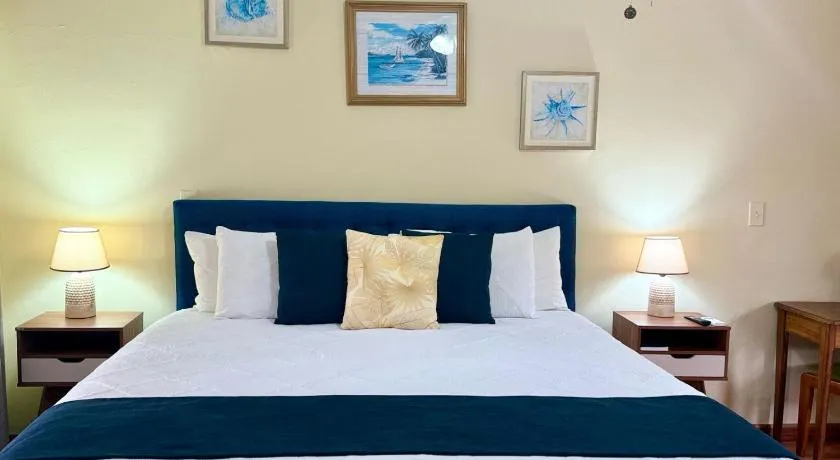 Hotel Delfin Playa Bejuco - Image 1