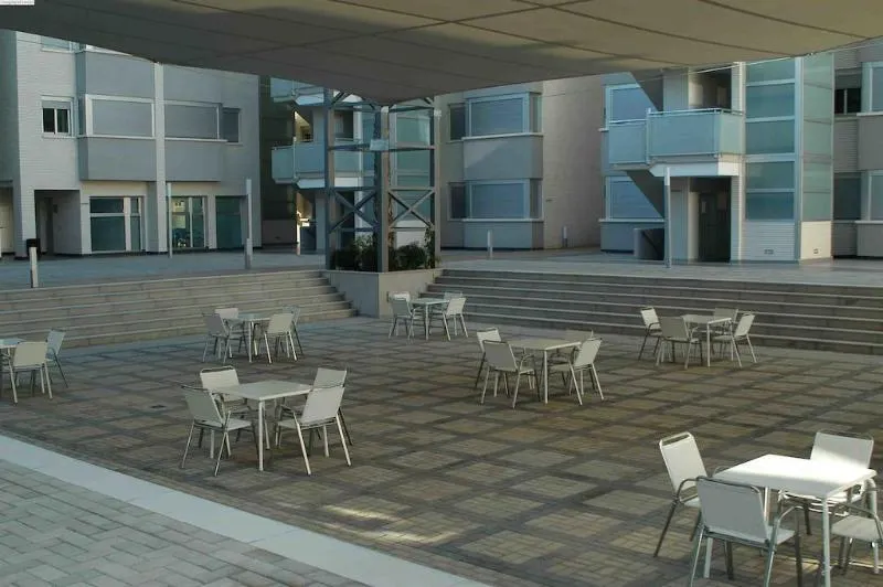 Elegance - Image 1