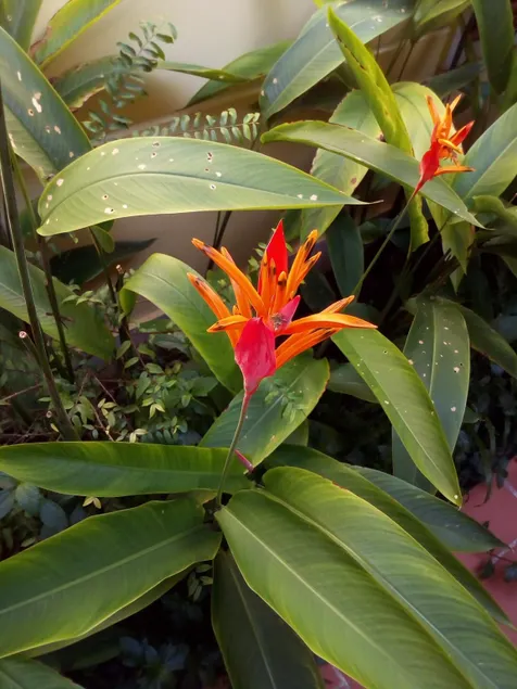 Liên Tho Hotel - Image 1