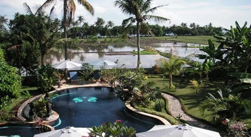 Sawah Lovina - Image 1