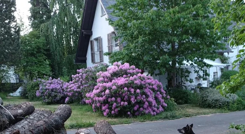 Doppelzimmer mit Gartenblick - Image 1