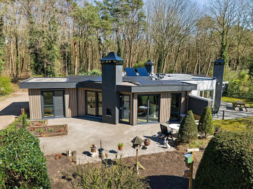 Bungalow in Drenthe near Forest  Lake - Image 1