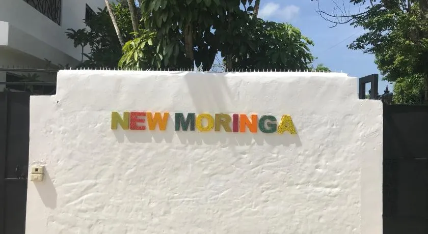 NEW MORINGA - Image 1