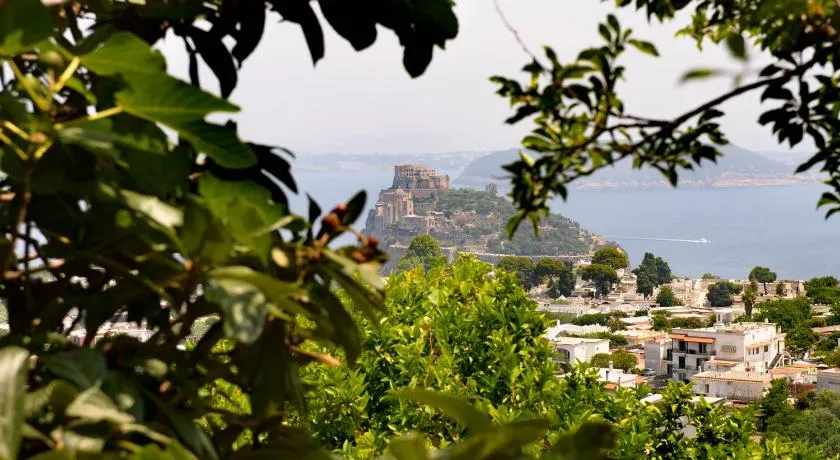 Panorama Carmelina - Image 1