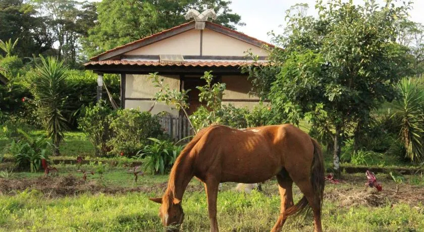 Finca Lindos Ojos - Image 1