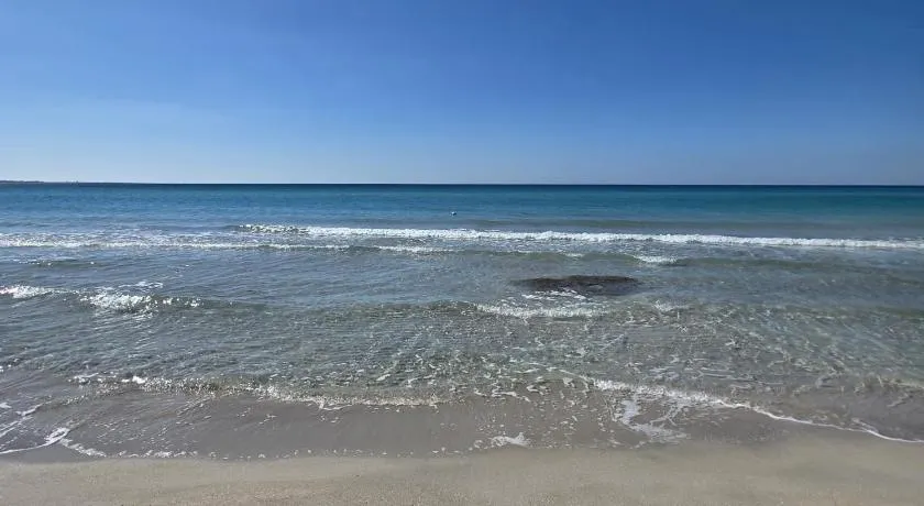 Maison de vacances avec barbecue | À côté de la plage | Avec animaux bienvenus - Image 1