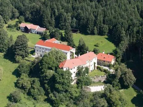 Hotel Landsitz Pichlschloss - Image 1