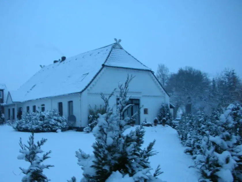 Heidetenne Comfortable holiday residence - Image 1