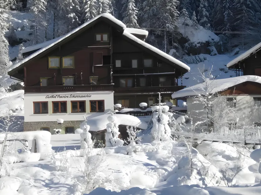 Hotel Gasthaus Schwarzenstein - Image 1