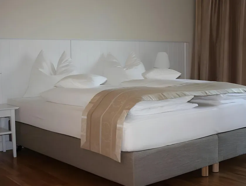 Domizil Gols, Boutique - Hotel - Image 1