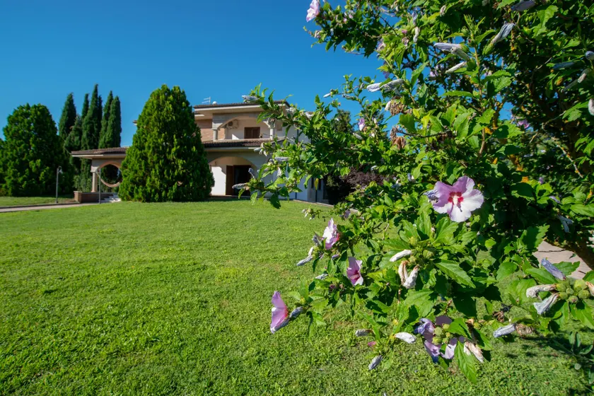 La Villa dei Tartufi - B&B - Image 1