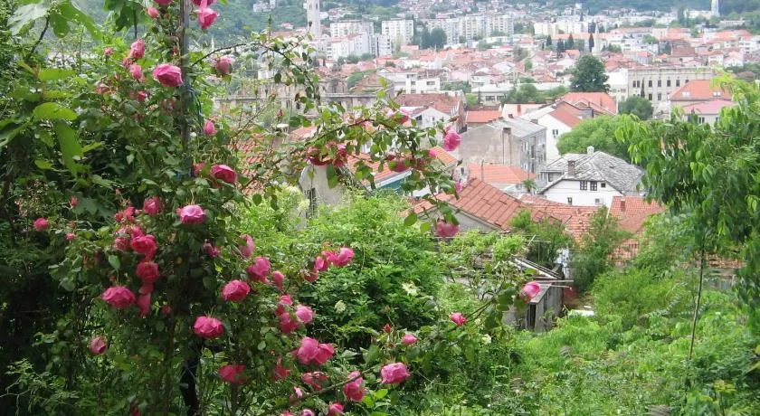 Guesthouse Panorama - Image 1