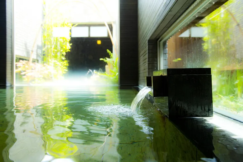 Kansai Airport Spa Hotel Garden Palace - Image 1