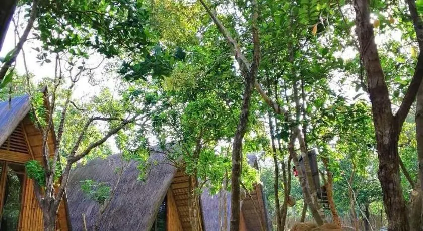 Balili Farm At Nacpan - Image 1