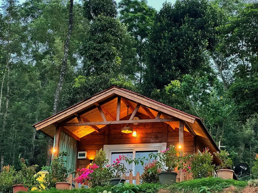 Oxyzone Coorg by StayApart - Image 1