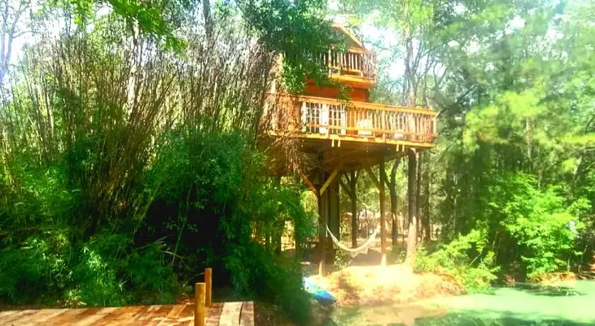 Waterfront Treehouse in a Magical Forest - Image 1