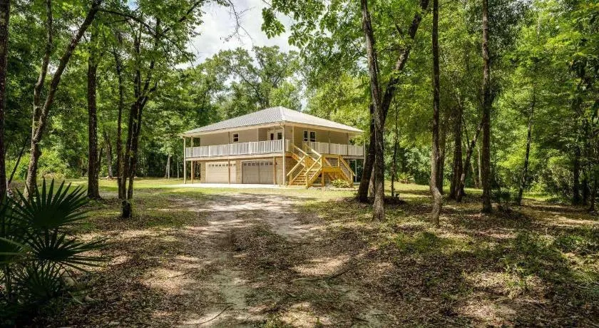 The Tree House - Image 1
