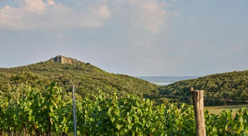 MONOslow - Wine, Dine & Rest - Image 1