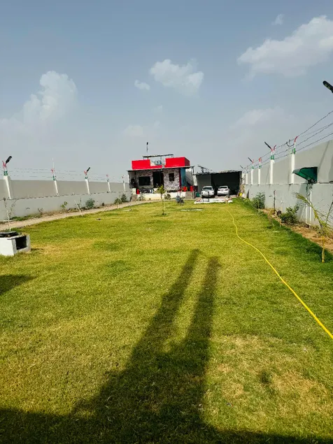 Aarvi bijender farm - Image 1