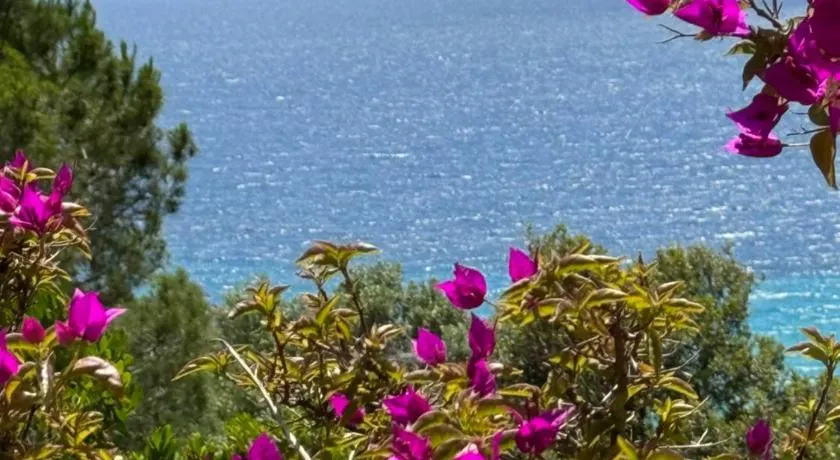 Villa acula - Image 1