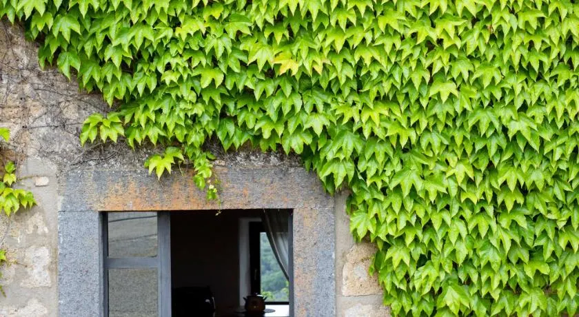 Acqua di Civita Beauty & Rooms in Mercatello - Image 1