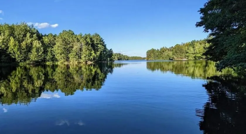 Red Tree Resort LLC - Image 1