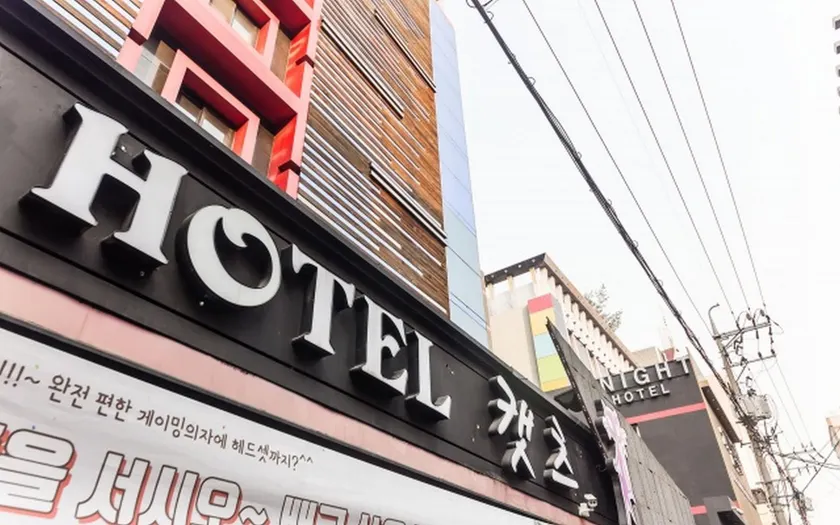 Bucheon Cats Hotel - Image 1