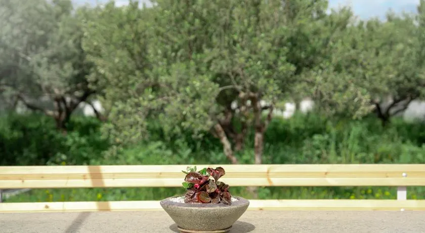 Olive Bliss Retreat - Image 1