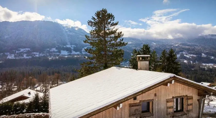 Chalet Mushy - OVO Network - Image 1
