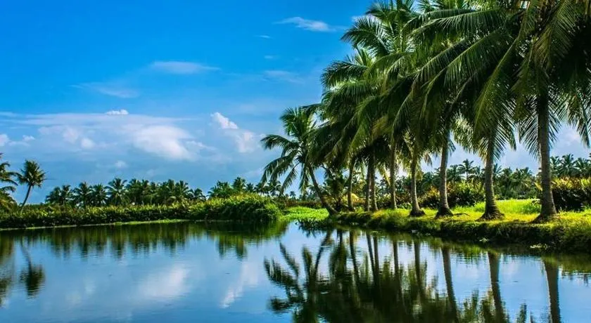 Golden Beach Home Stay - Image 1