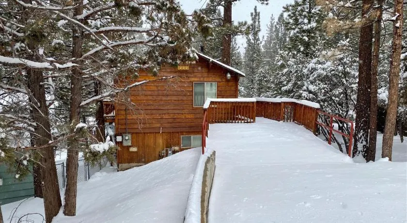 Harrison's Hanger - Cozy cabin with a fairly nice view of the tree line! Wood burning fireplace! - Image 1