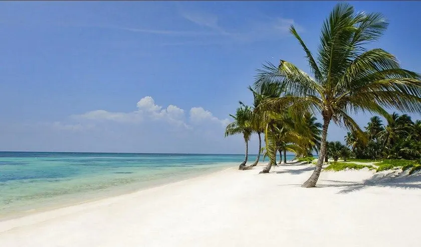Beach and Golf apartment Punta Cana Beach Resort - Image 1