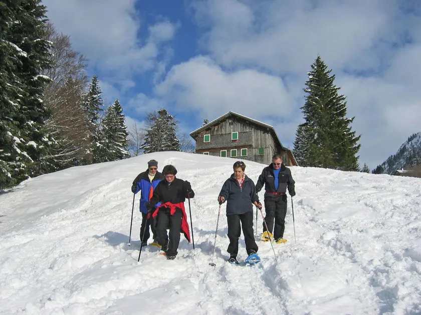 Stuga i Vorarlberg - Image 1
