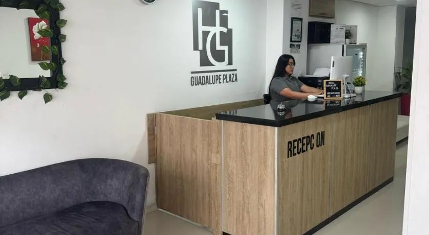 Hotel Guadalupe Plaza - Image 1
