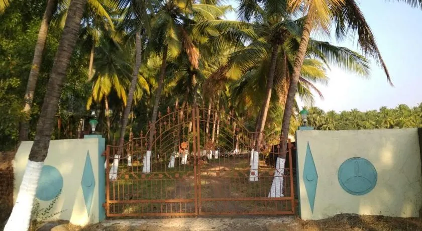 Arecapalm, Murud - Image 1