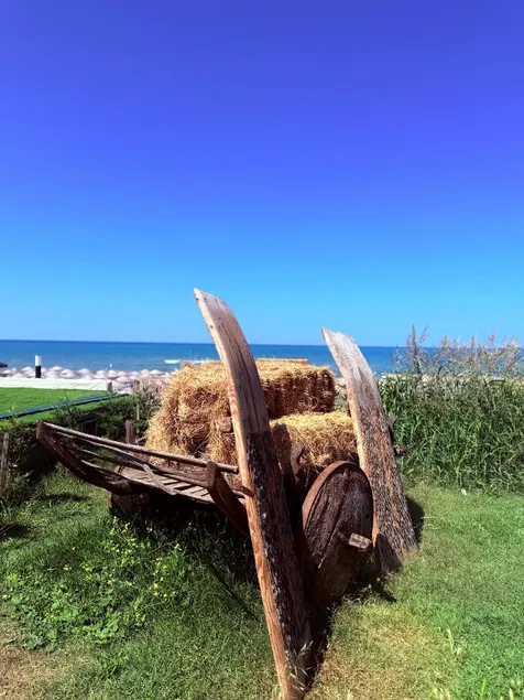 Goga Beach Club - Image 1
