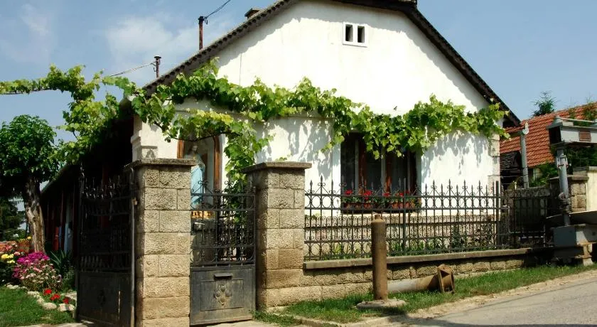 Pataky Borporta - Image 1