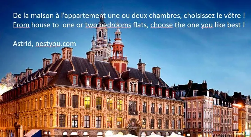 Coeur Vieux Lille , Bienvenue chez Nestyou, Lille - Image 1