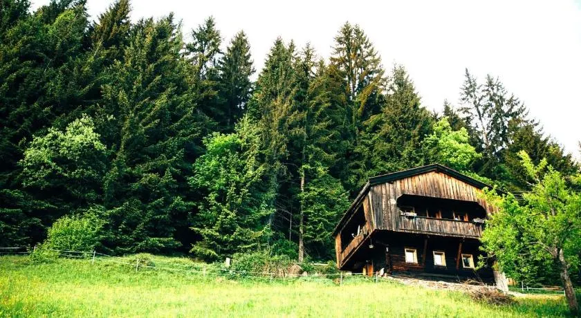 Zauberhuette Wildschoenau - Image 1