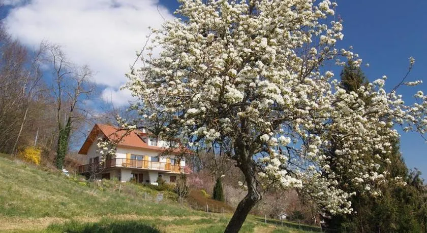 Le Merle Enchanteur - Image 1