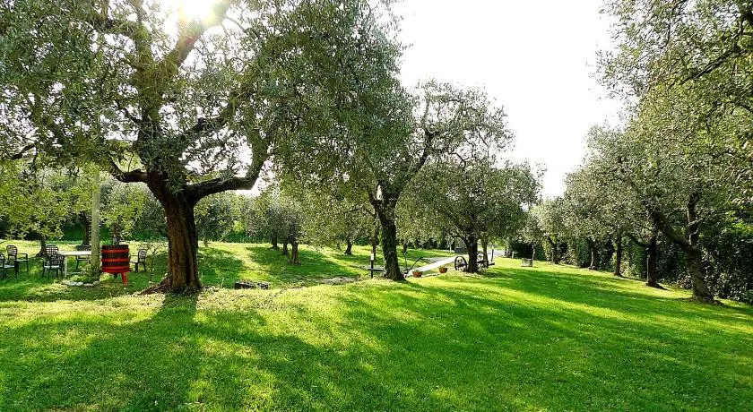 Al Vajo - Image 1