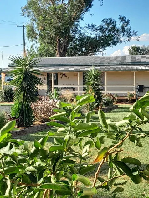 Narromine Aerodrome Tourist Park and Motel - Image 1