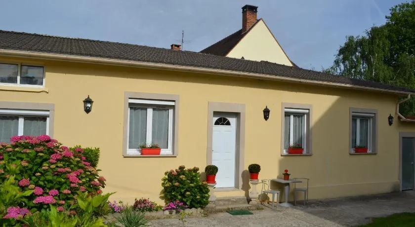 L'Araucaria - Image 1