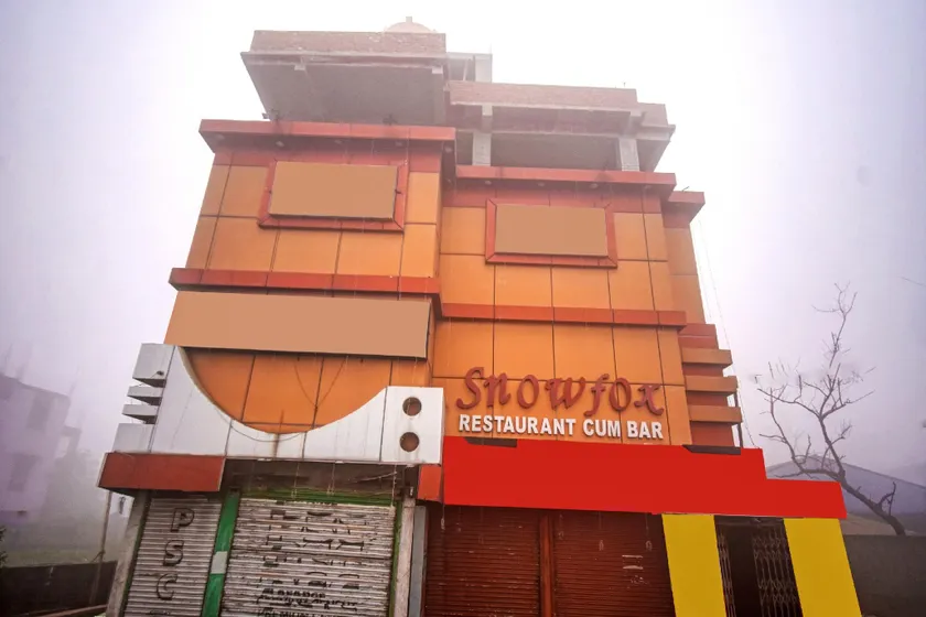 Super Collection O Snowfox - Image 1