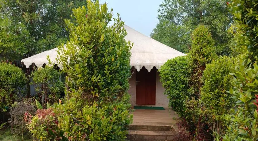 DMS RBT Resort - Image 1