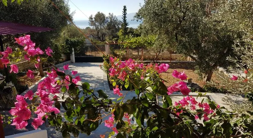 Panorama - Image 1